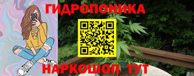 дмт Нальчик