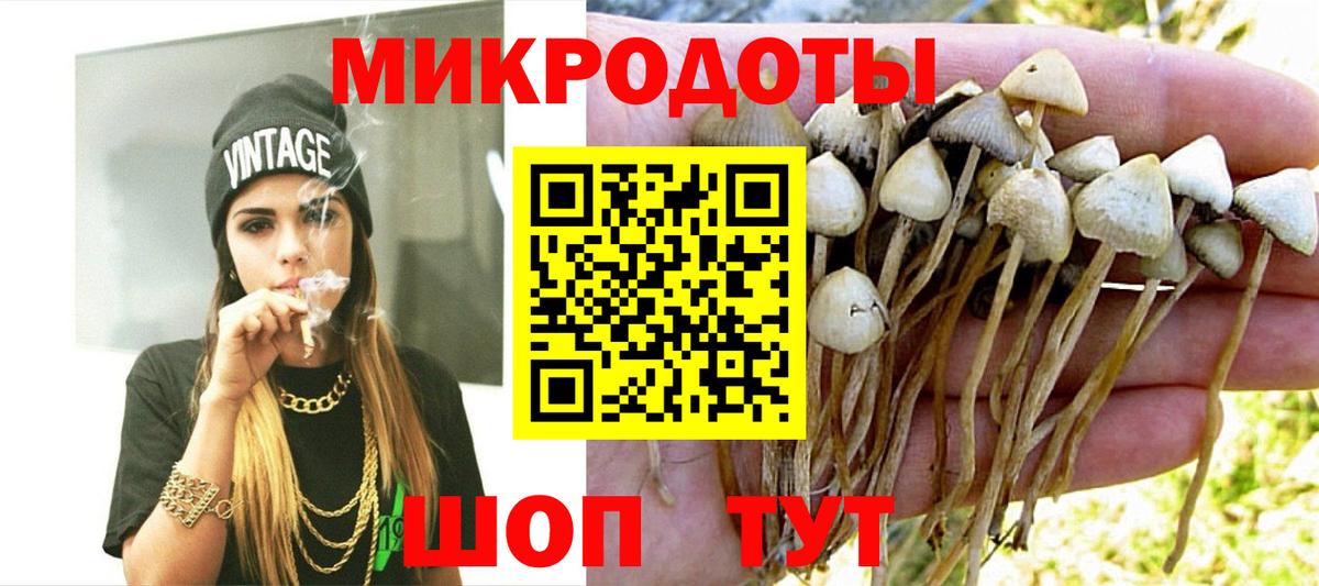 магазин    Вход с VPN  Волгоград  Псилоцибиновые грибы Psilocybe 