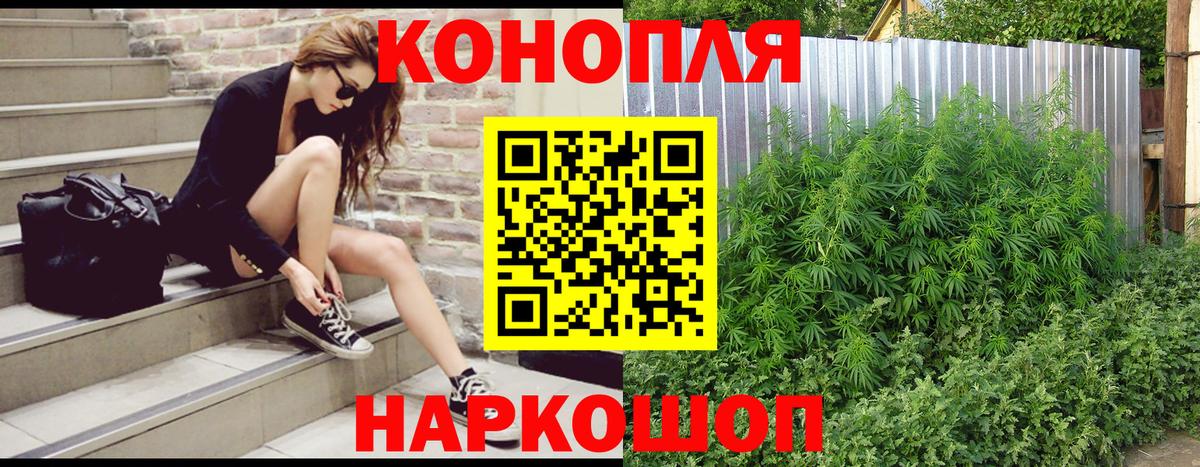 Марихуана марихуана Волгоград